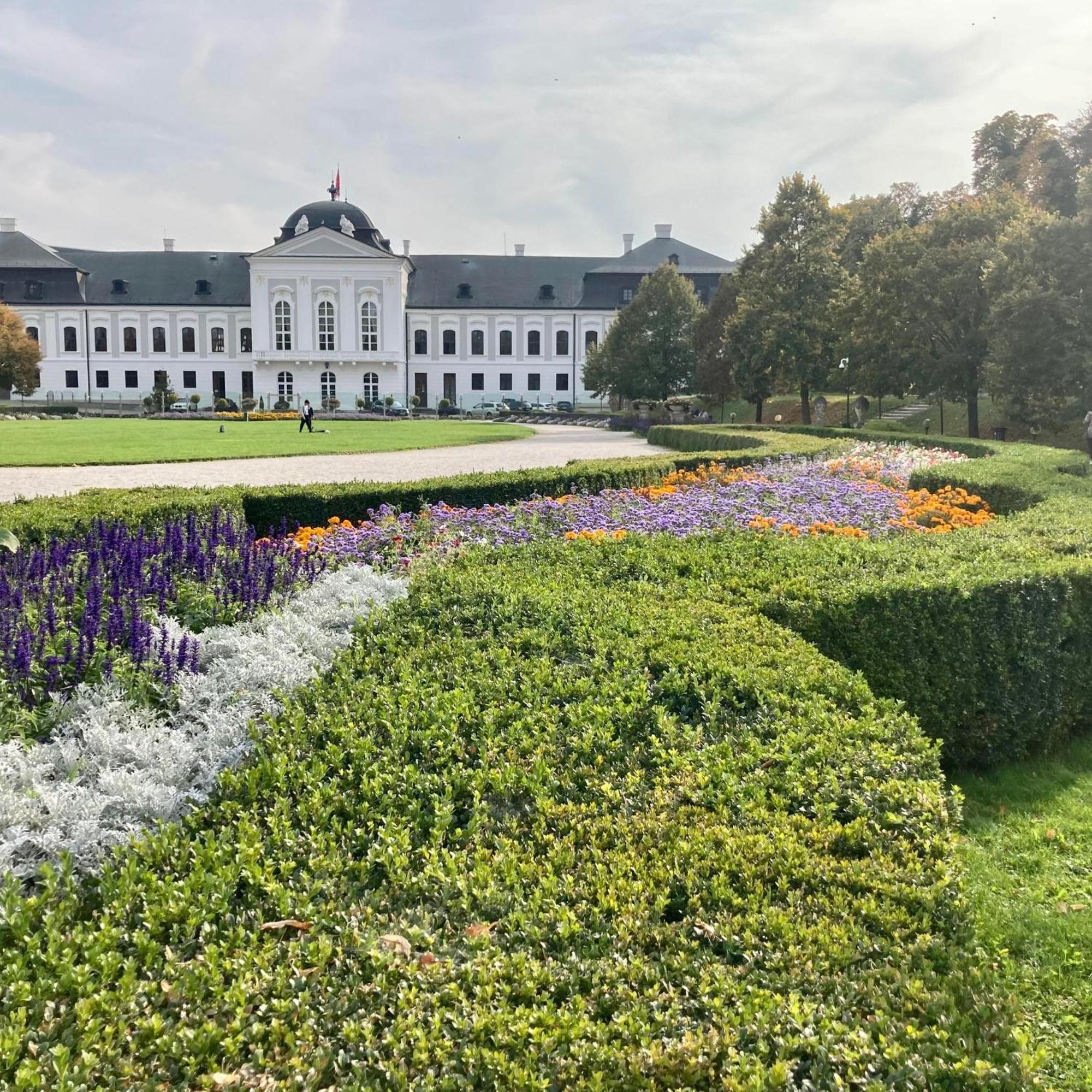 Old Town Apartment - 2 Bedrooms Pressburg Exterior foto